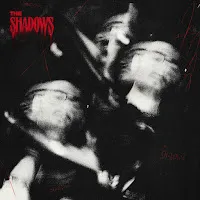 Chris Grey — The Shadows (Sped Up) — обложка